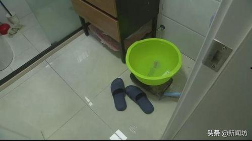 国产厕所定点系列视频,揭秘中国厕所革命背后的故事