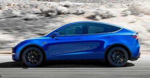 国产特斯拉和蟒蛇对比视频,性能与野性的碰撞