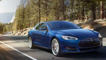 国产特斯拉和蟒蛇对比视频,性能与野性的碰撞