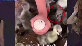 国产搞笑配音段子视频,国产搞笑配音段子视频集锦